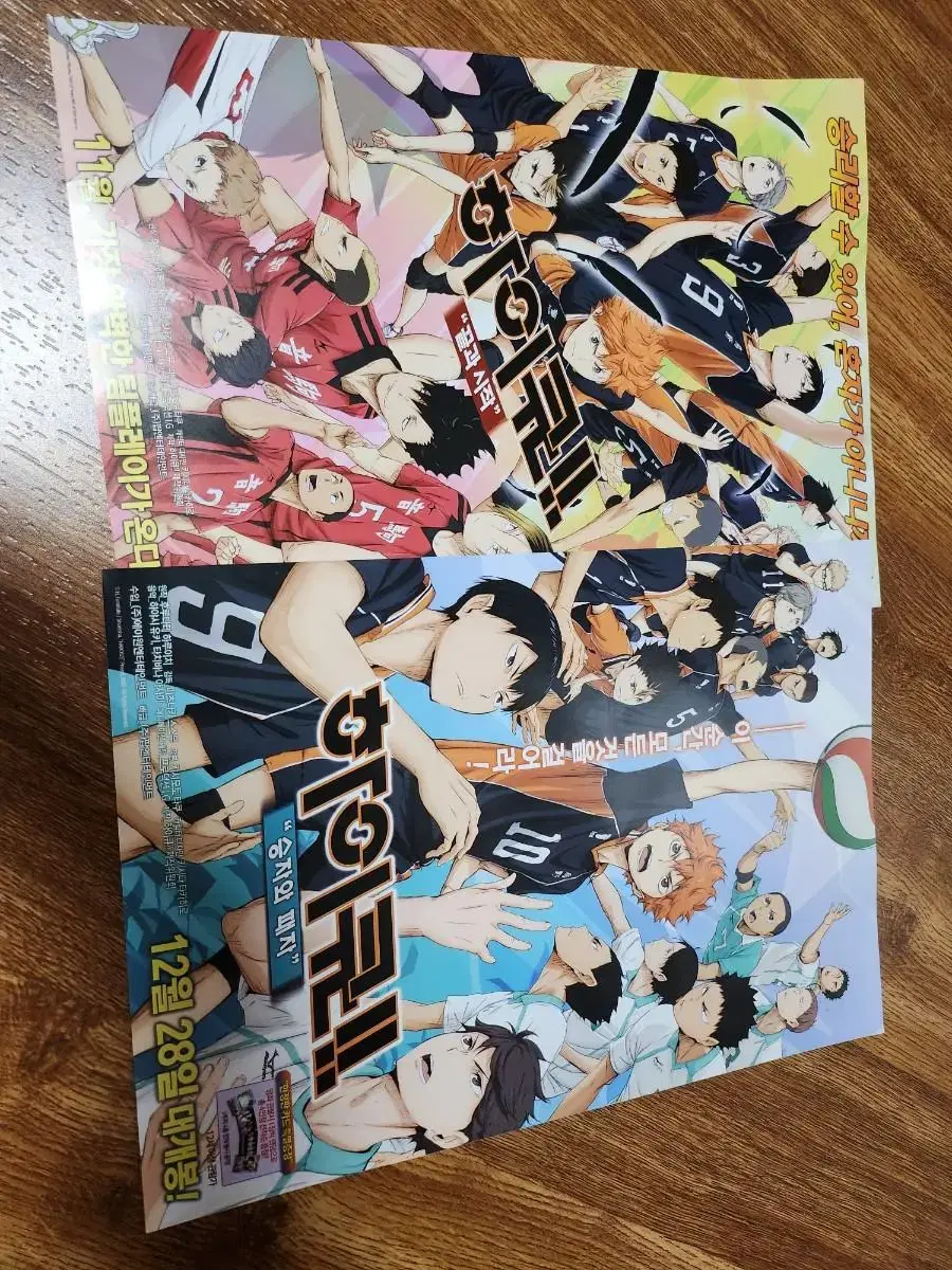 Haikyuu Movie Pamphlet