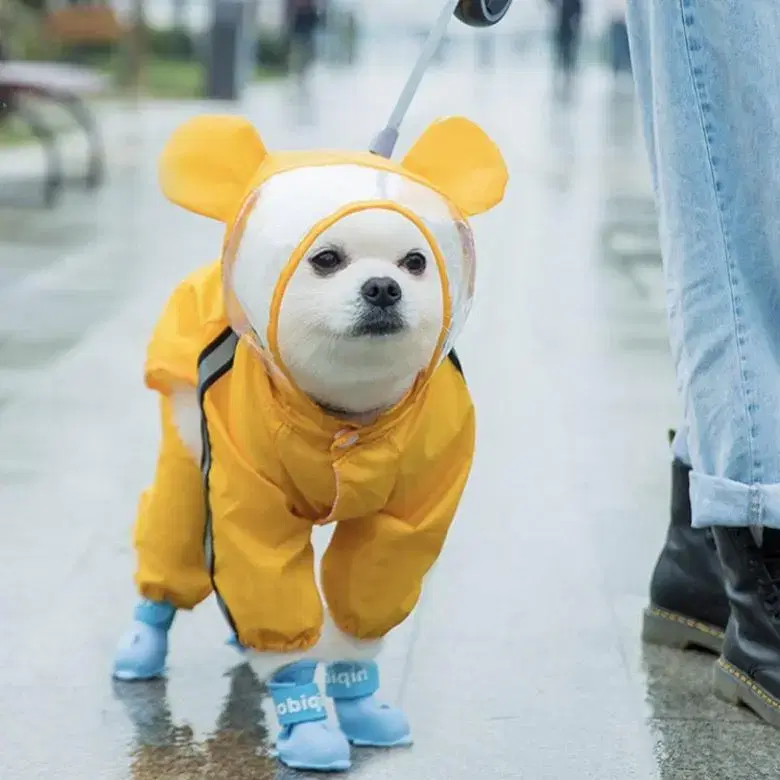 강아지 곰돌이 우비, 신발 일괄 (S)