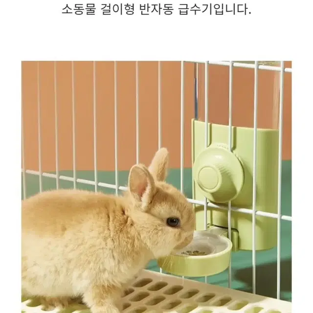 반려동물 반자동 급수기