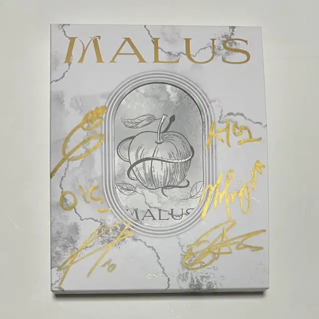 원어스 싸인앨범 사인앨범 malus