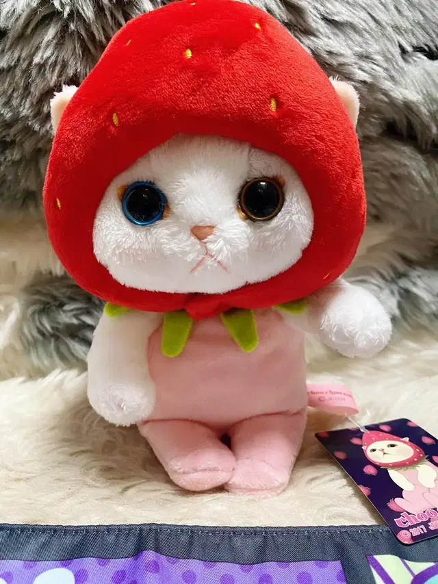 제토이 츄츄캣 인형 딸기모자 jetoy choochoo cat