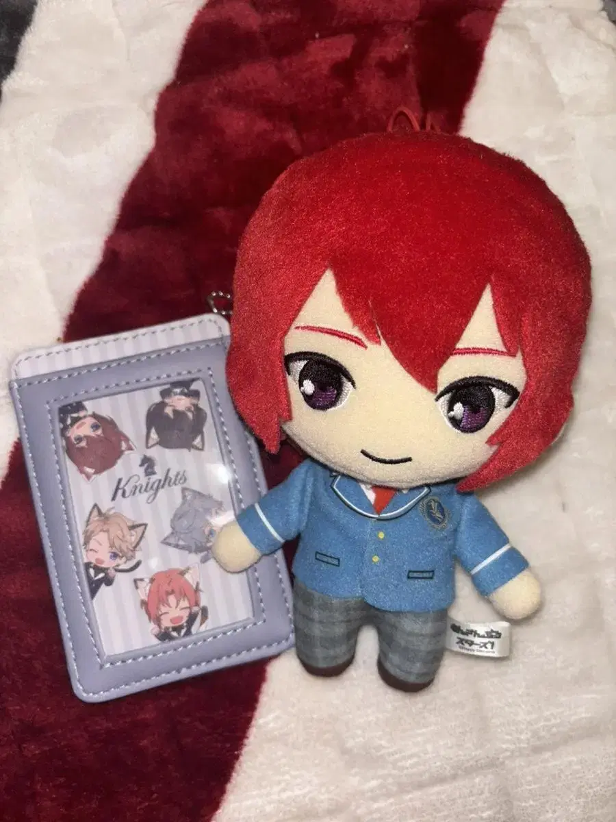 (Bulk) Angsta Suou Tsukasa School Uniform Nui / Knights Nyanjatown Card Case