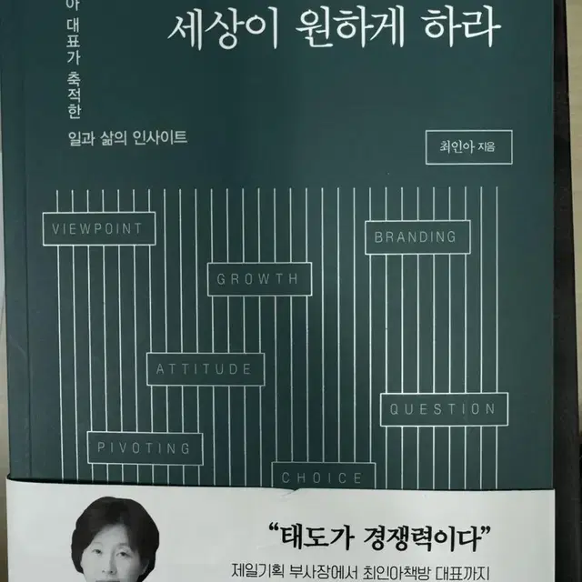 내가 가진 것을 세상이 원하게 하라 책