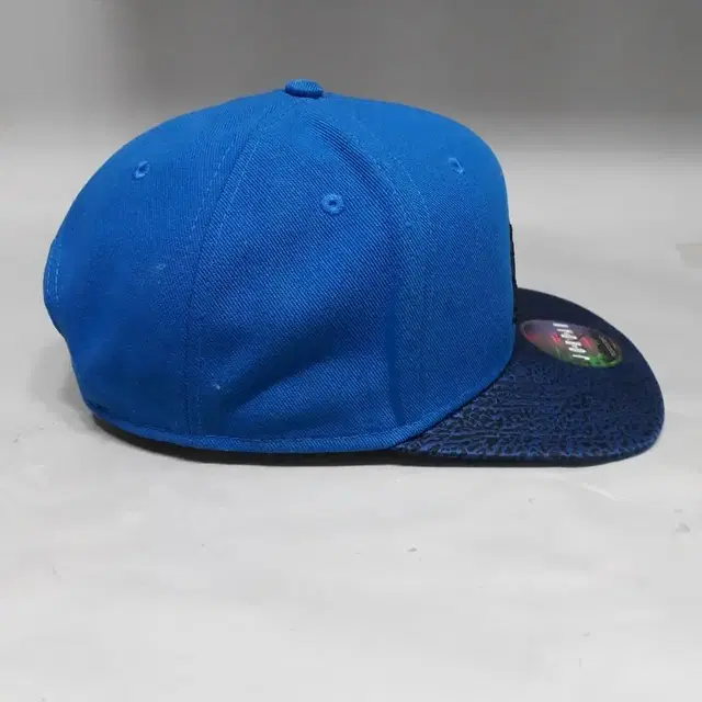 Nike jordan elephant bill snapback