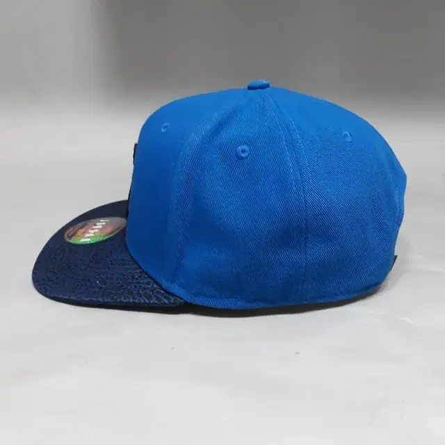 Nike jordan elephant bill snapback