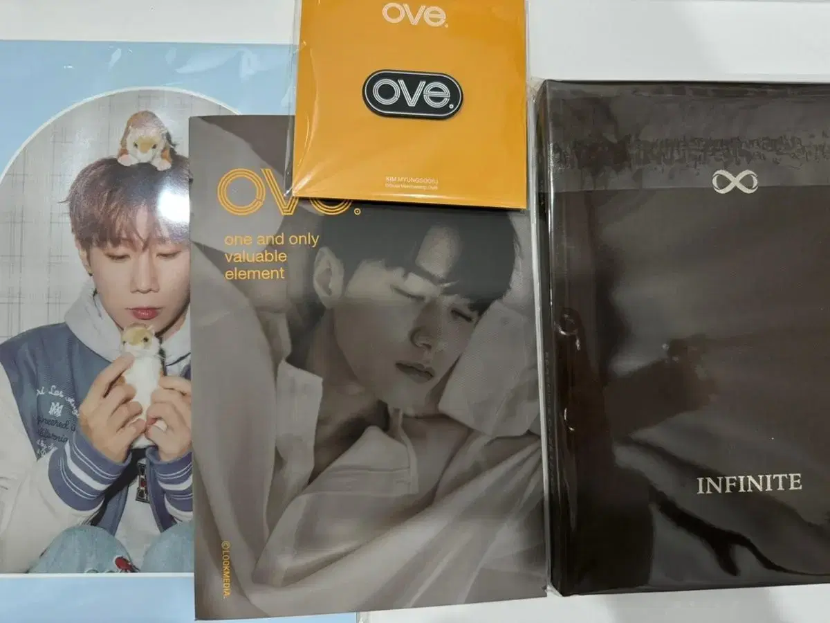 Infinite seasons greetings kim sungkyu photobook kim myungsoo l Photobooks