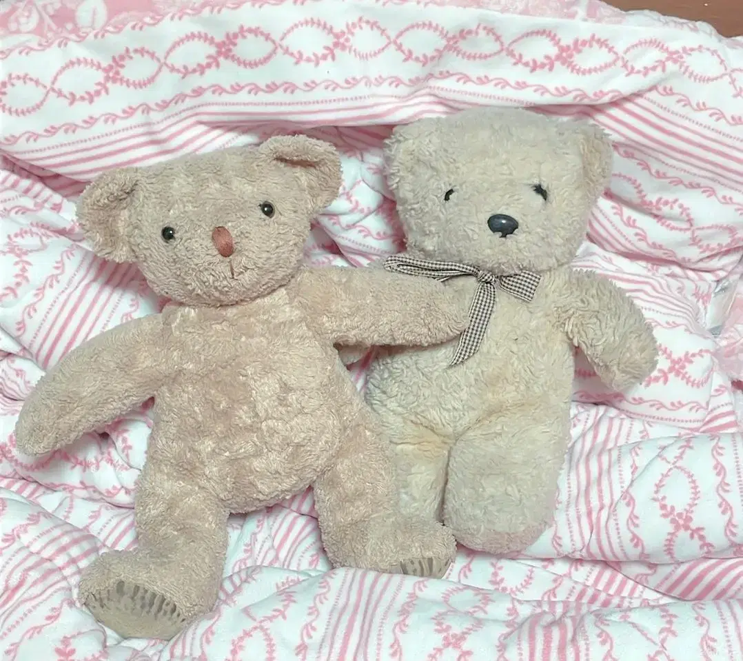 A teddy bear couple