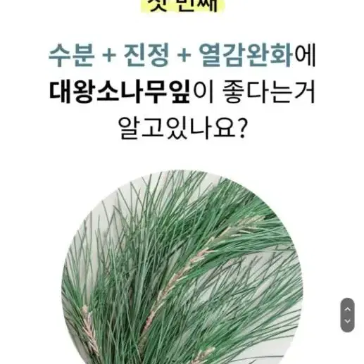 수부지 속건조 히알루론산 소나무 홍조 수분크림 여드름 민감성피부 진정