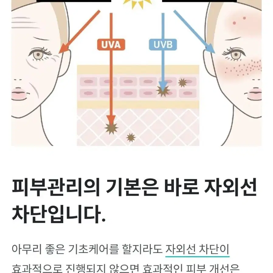 강력하고 오래가는 10시간 자외선차단 끈적임제로 눈시림,X 선크림