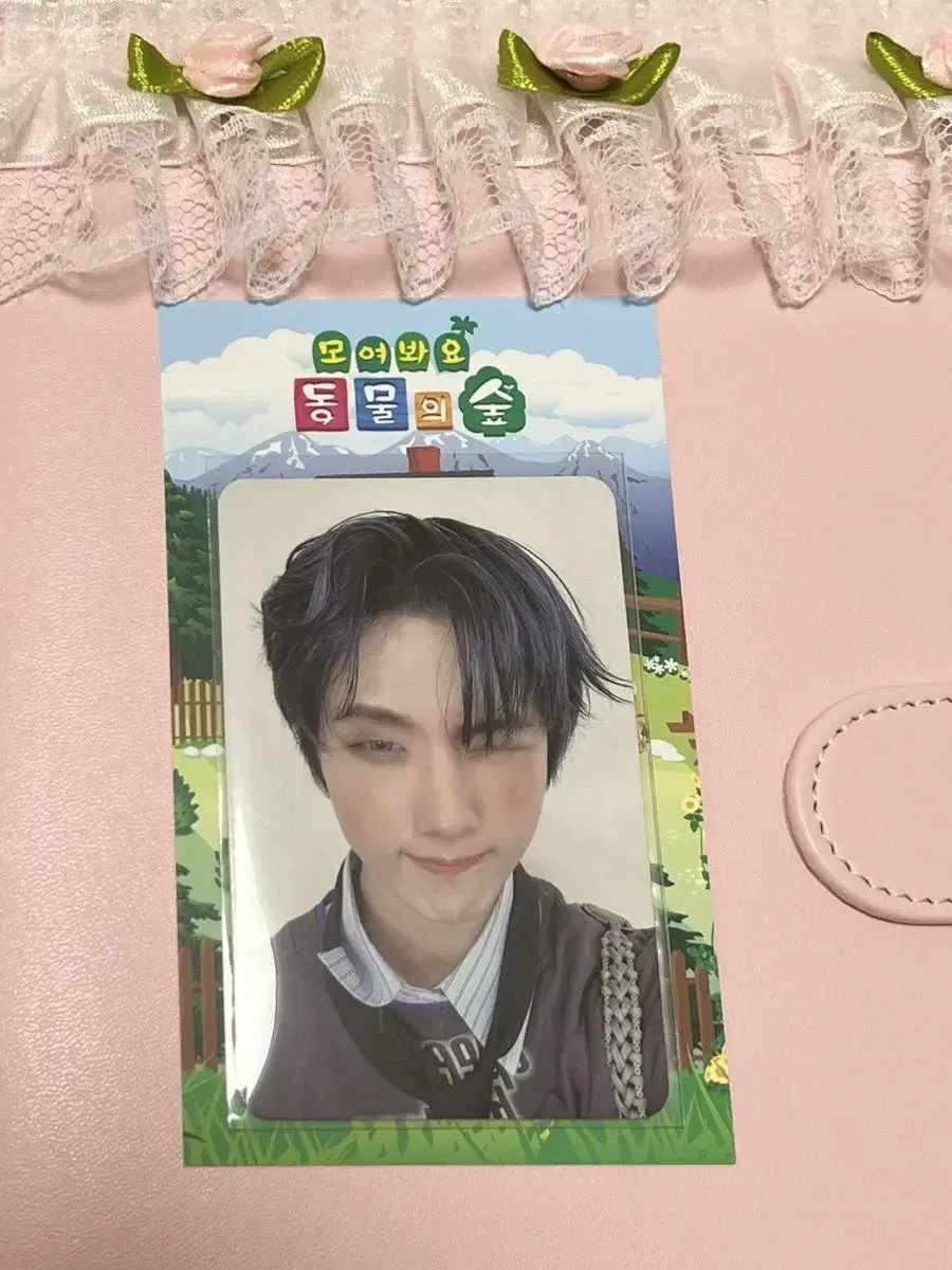 ISTJ nct dream Introverted jisung Photocard