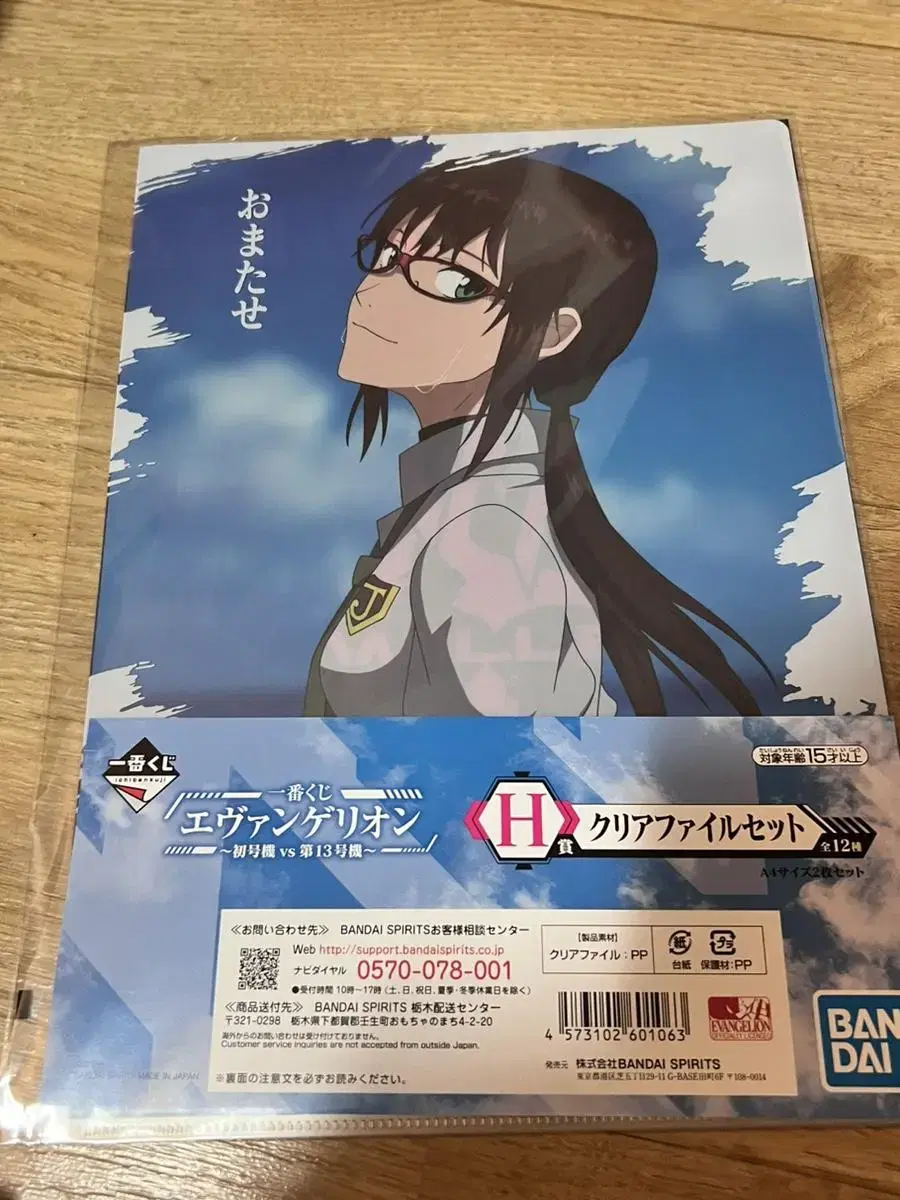 [Evangelion] First Lottery Kuji Marie Elza File Set