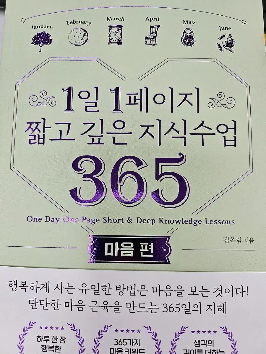 1일 1페이지 짧고 깊은 지식수업 365: 마음편