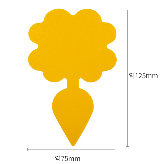 집안 식물 초파리 퇴치 트랩 10개세트 곤충 페르몬 정원 베란다