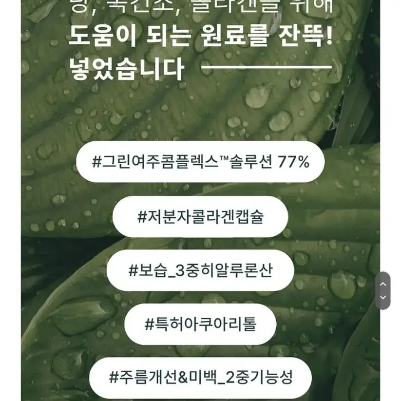 더늦기전에 관리는필수리단데 저분자콜라겐 탄력 주름 수분 촉촉 보습 크림