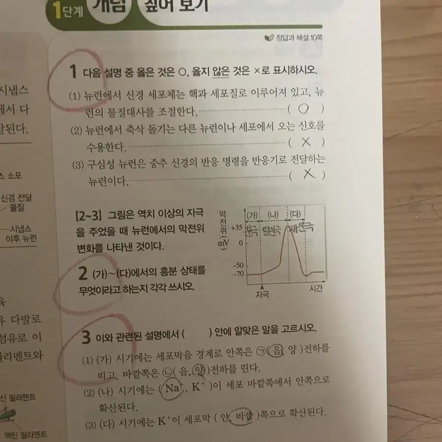 내공의 힘 생명과학