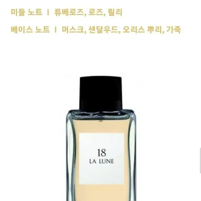 [돌체앤가바나] 앤솔로지 콜렉션 오드뚜왈렛 20ml+20ml(40ml