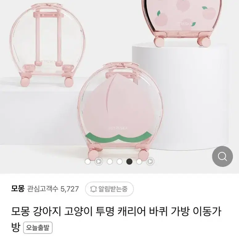 강아지 이동가방 케리어