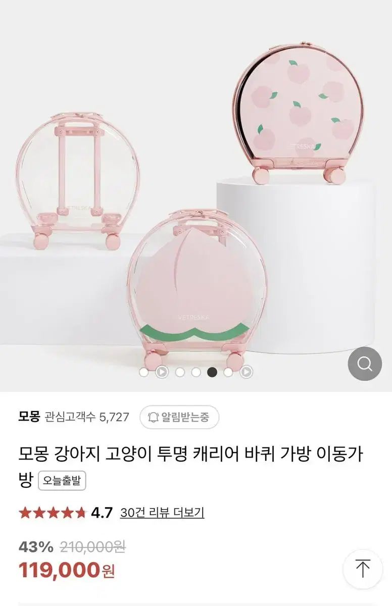 강아지 이동가방 케리어