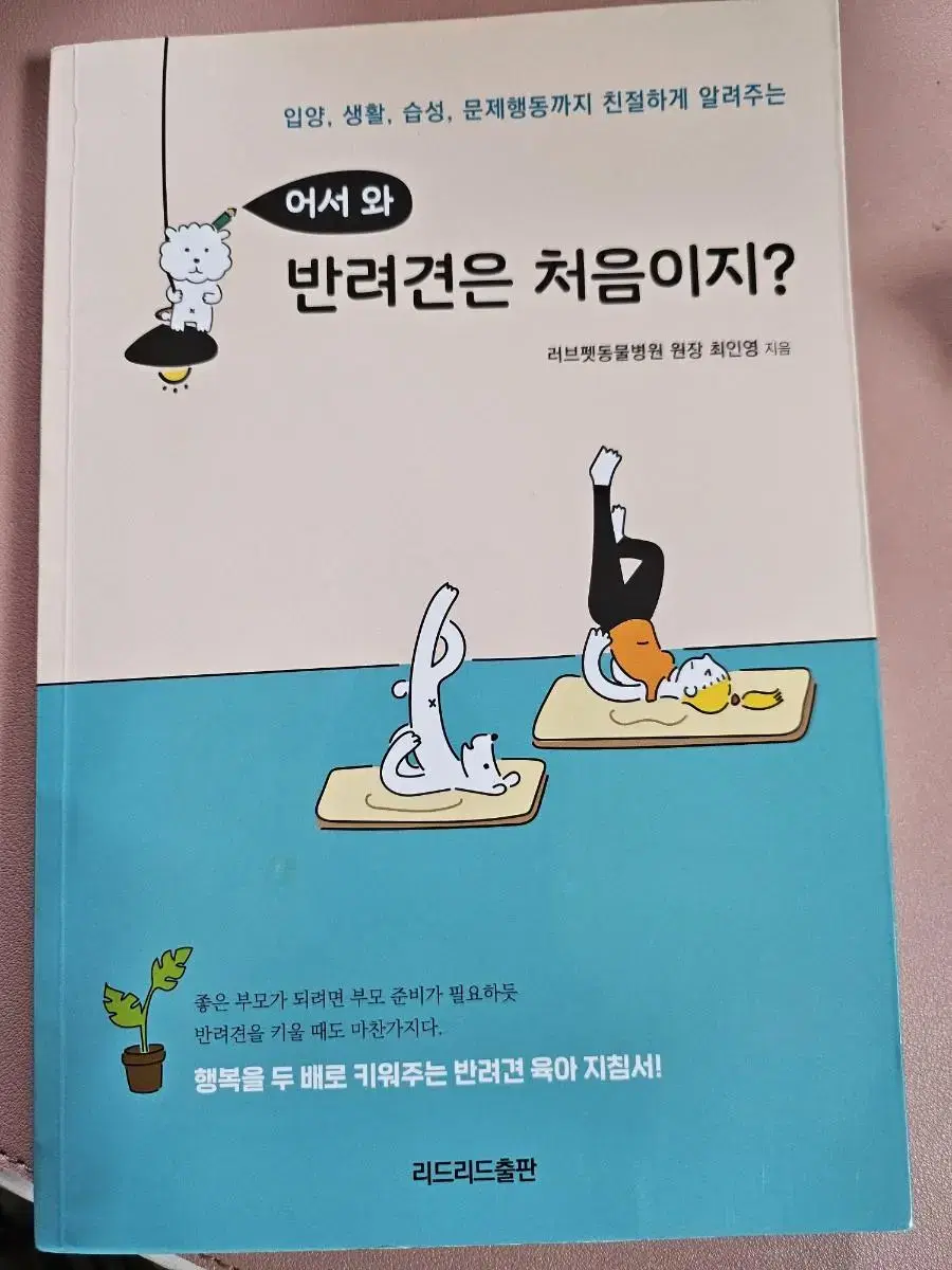 어서와 반려견은 처음이지?