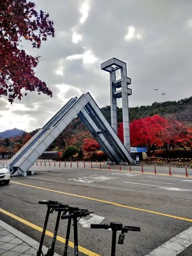 생명과학1 지구과학1 전문과외