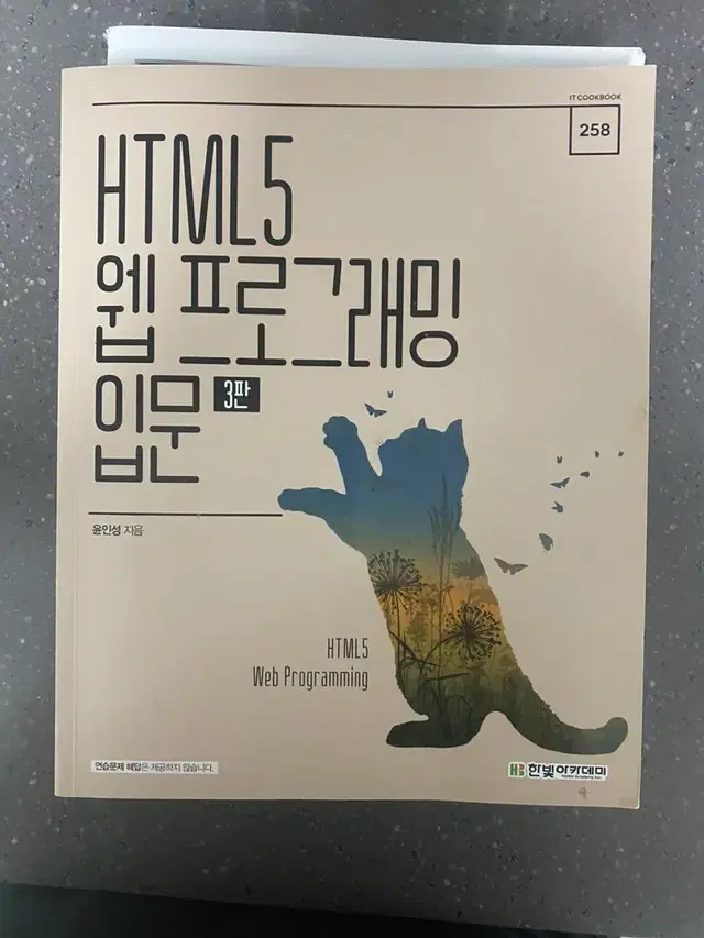 HTMl5 웹 프로그래밍 입문