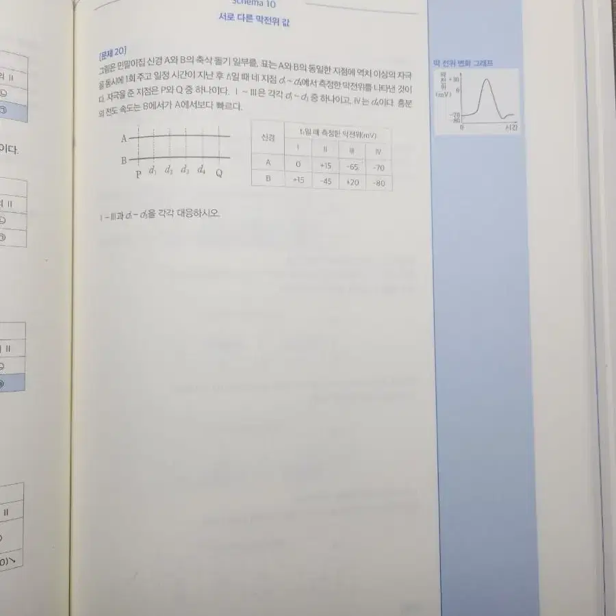 디올 생명과학1 실전개념 판매