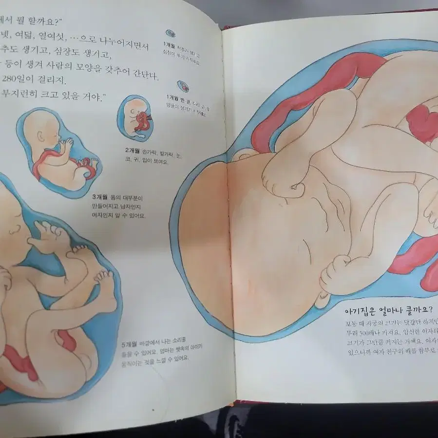 [한국노벨] 생활 속 원리과학 1-58권 10,000원에 판매