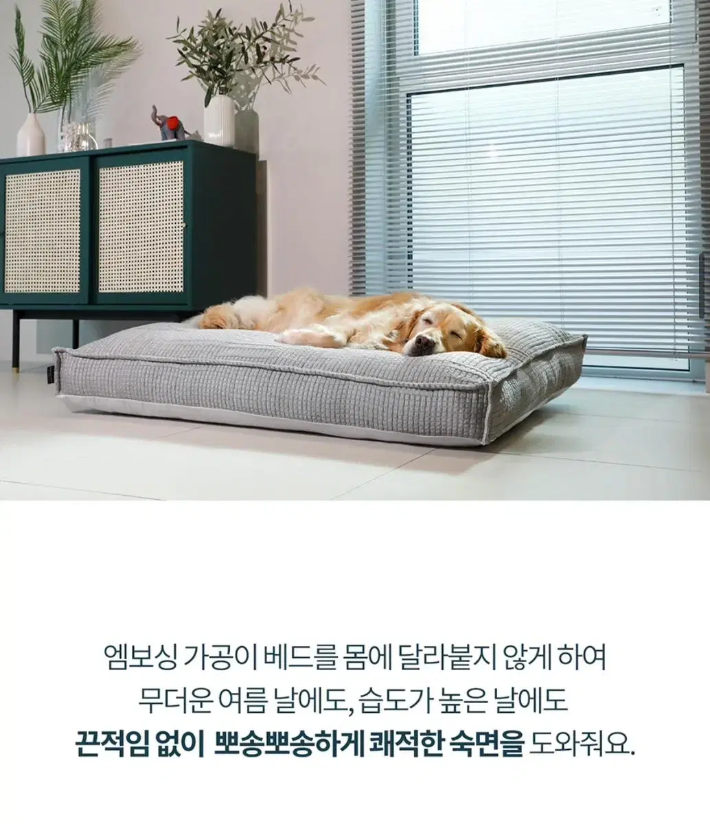 하이드앤울프 베드 엑스라지 새것 대형견