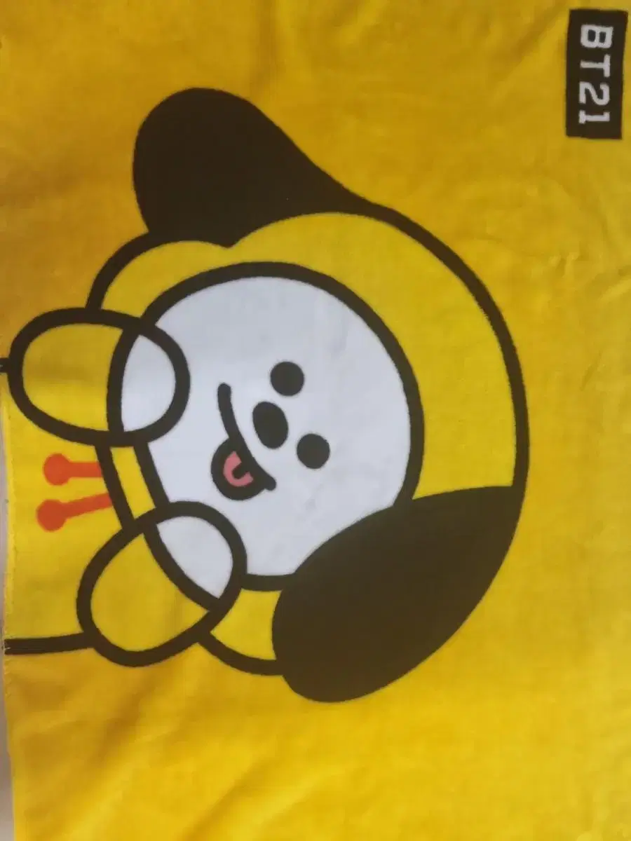 BT21 치미 담요