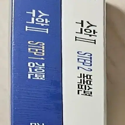 수2 김성은(무조건되는 불꽃개념 )