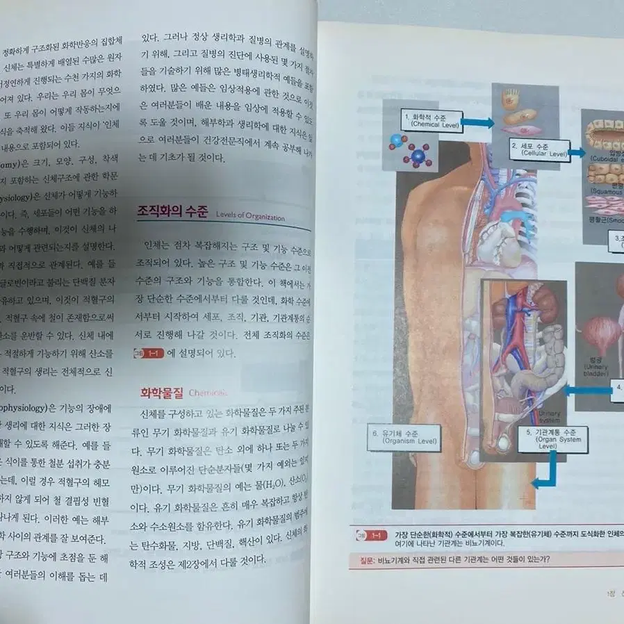 인체 구조와 기능