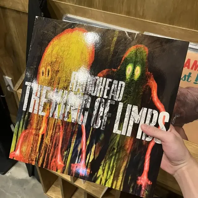 라디오헤드 the king of limbs LP