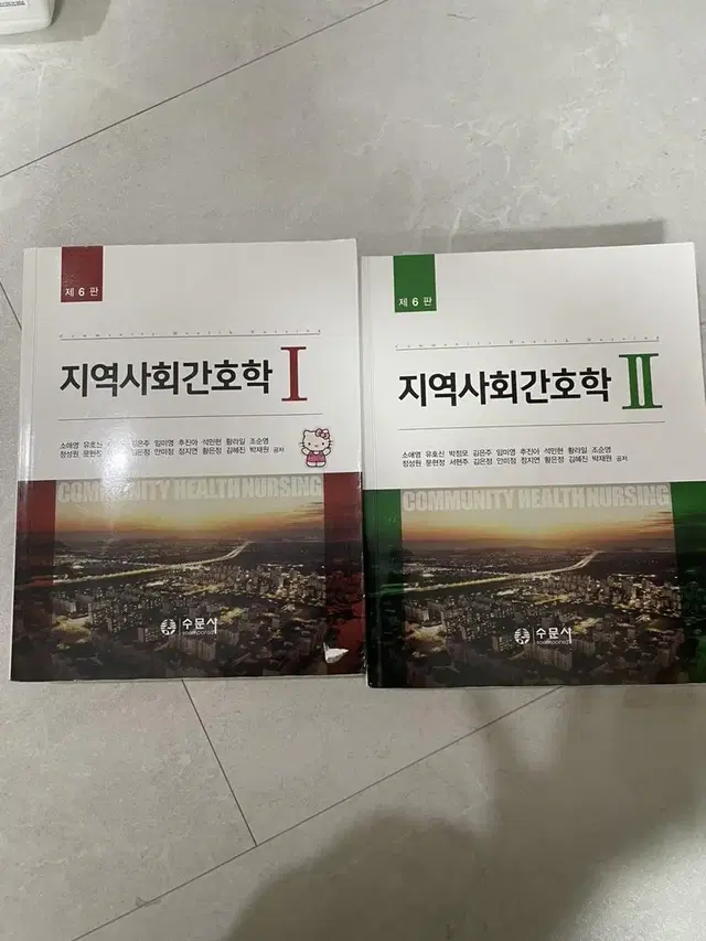 지역사회간호학 수문사 2