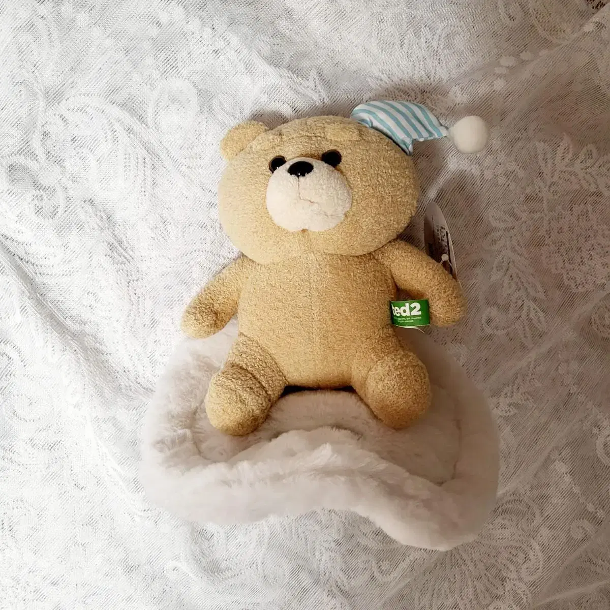 Ted Dehumidification doll New