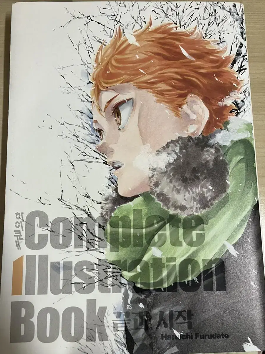 Haikyuu Illustrated Collection