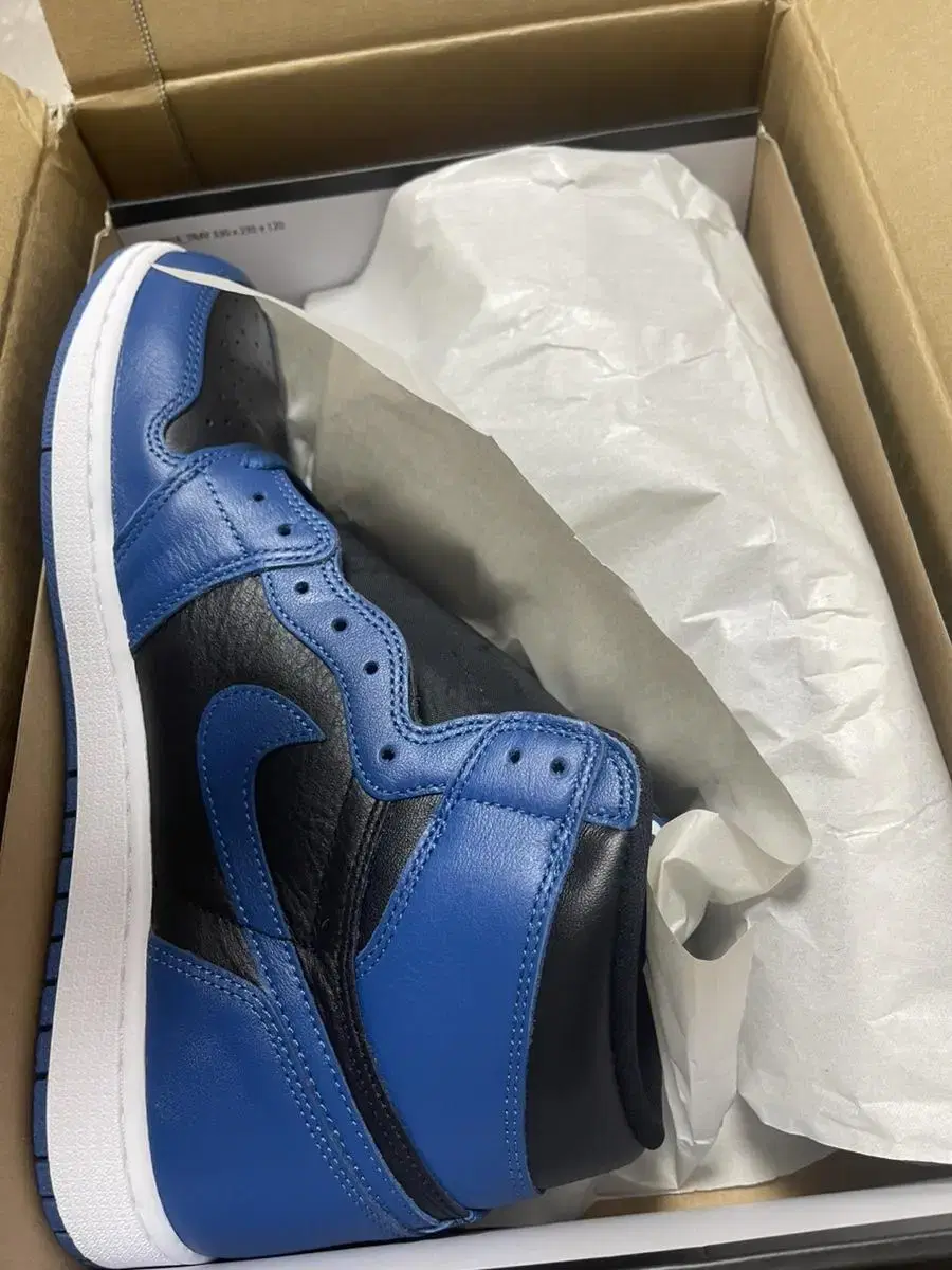 Nike Jordan 1 Dark Marina bloo 300