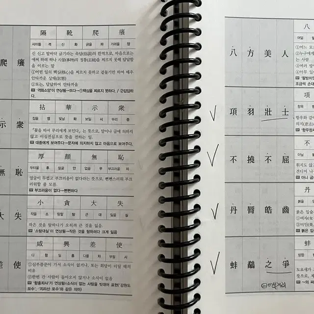 권규호 초단기 한자성어 암기노트+