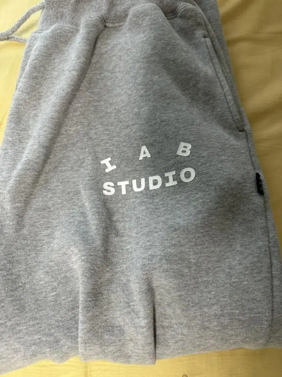 iappstudio Gray Jogger Pants