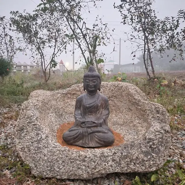 석불 불상 부처님 약사여래좌불상