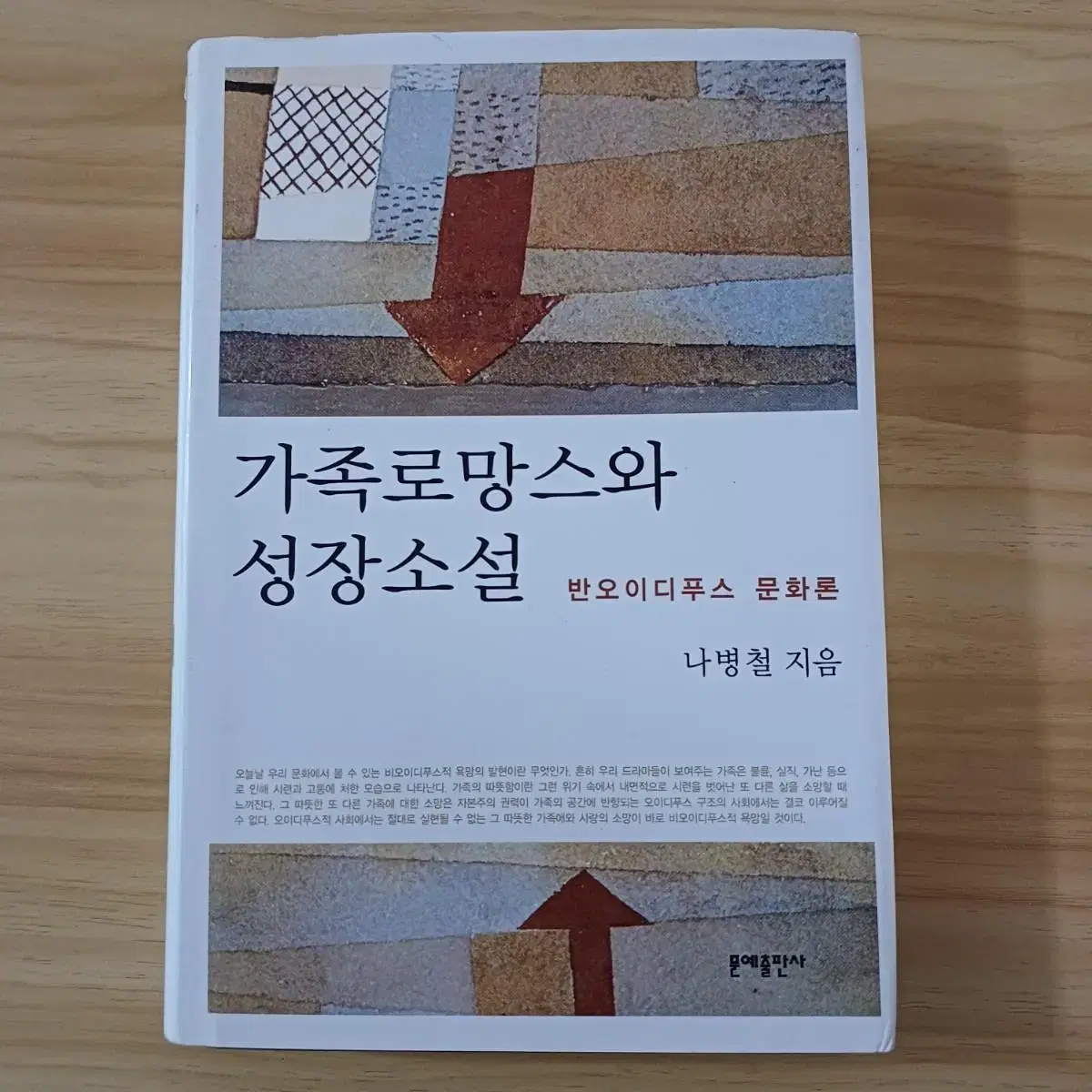 책 <가족로망스와 성장소설>-나병철