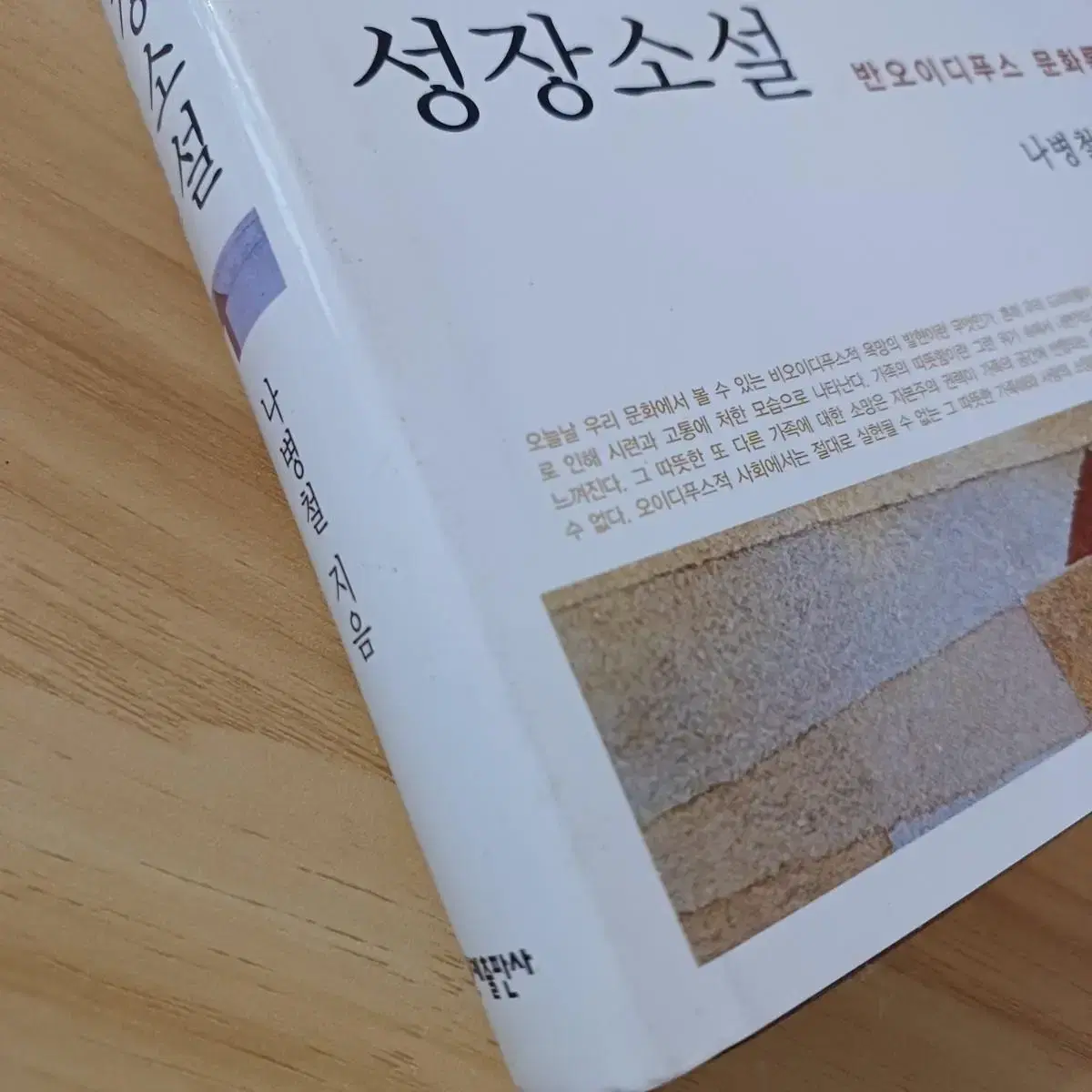 책 <가족로망스와 성장소설>-나병철