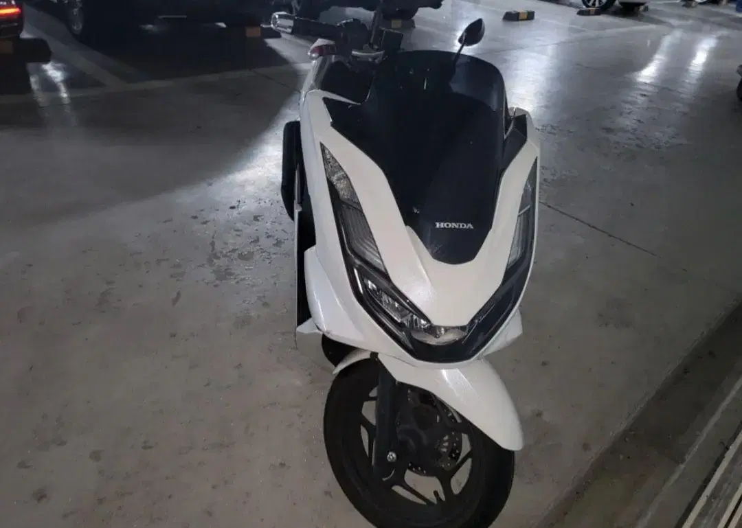 pcx125 abs모델 23년식 가격다운