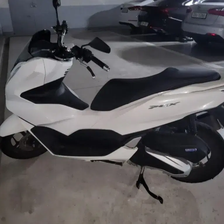 pcx125 abs모델 23년식 가격다운