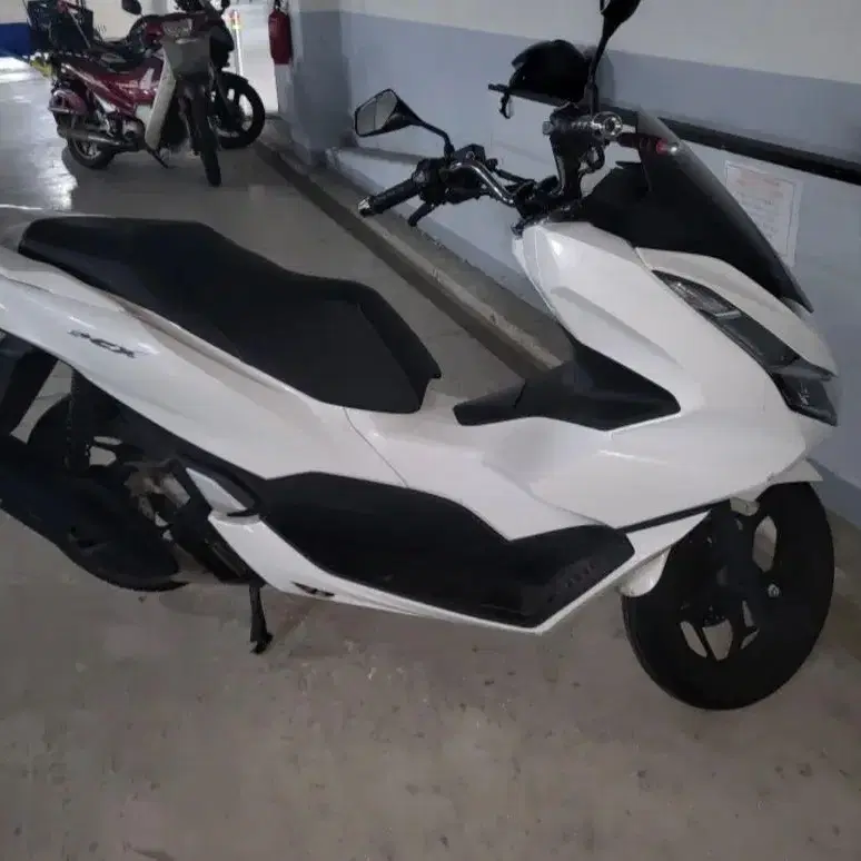 pcx125 abs모델 23년식 가격다운