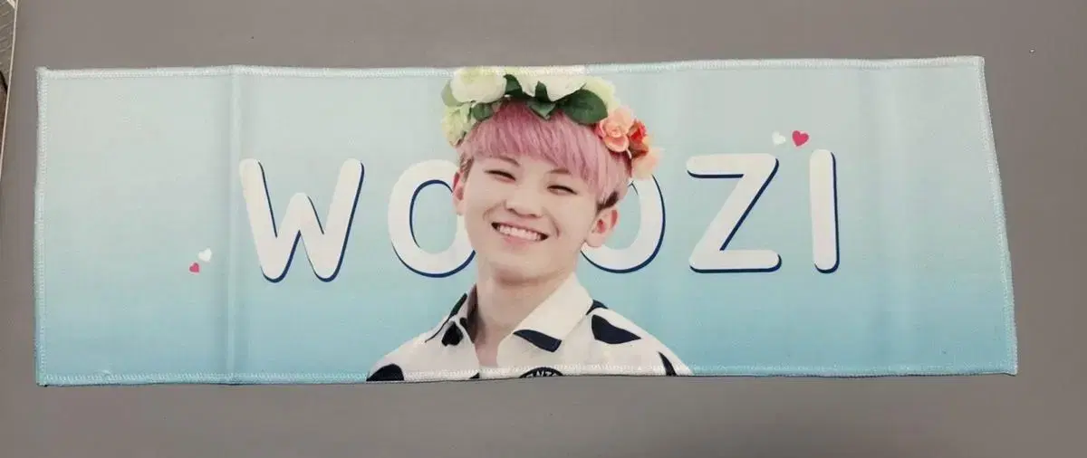 Seventeen woozi slogan WTS