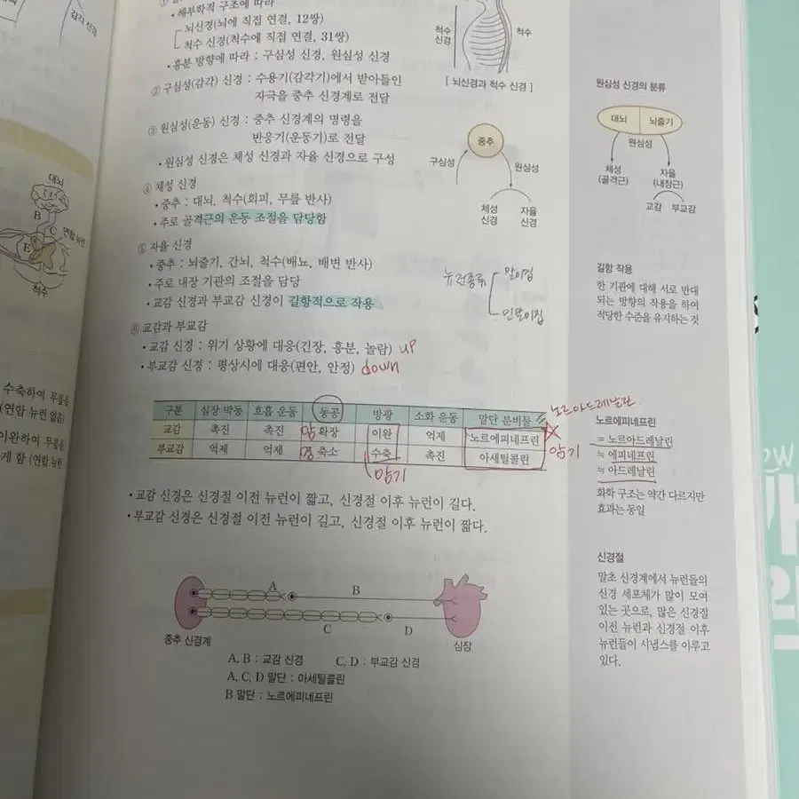 고3 과탐 생명 지구 한국사 문제집 판매