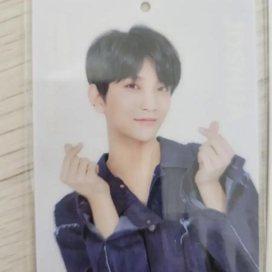 세븐틴 조슈아 포카