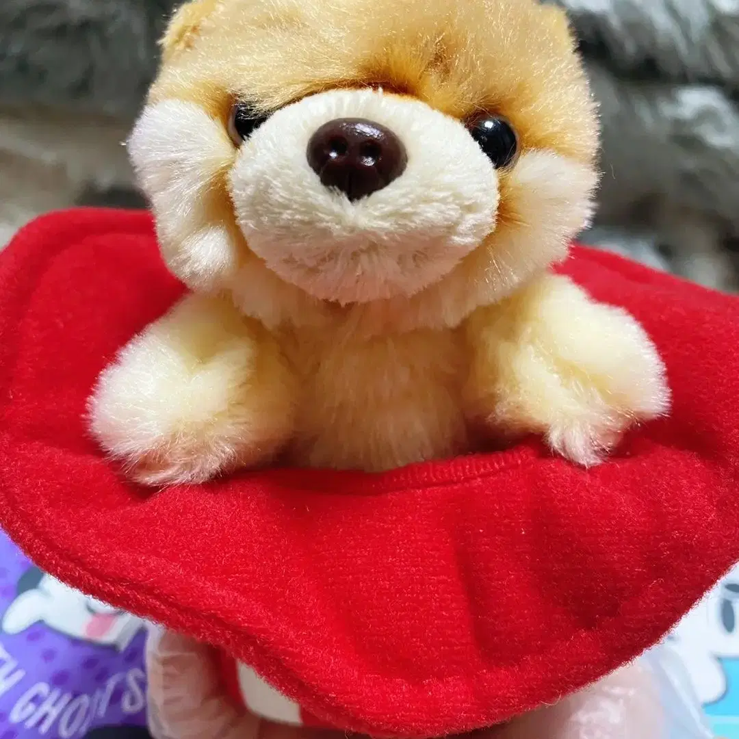 [건드] 강아지 Boo 인형 Boo in American Hat GUND