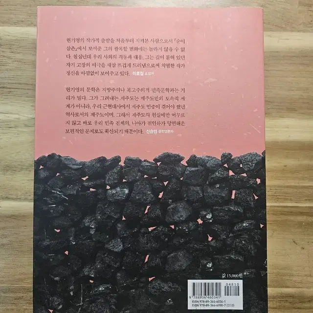 창비 순이삼촌(책)