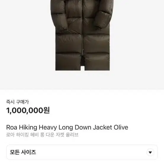 로아 하이킹 Heavy Long Down Jacket xl